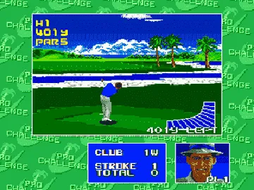 Chi Chi's Pro Challenge Golf (USA) screen shot game playing